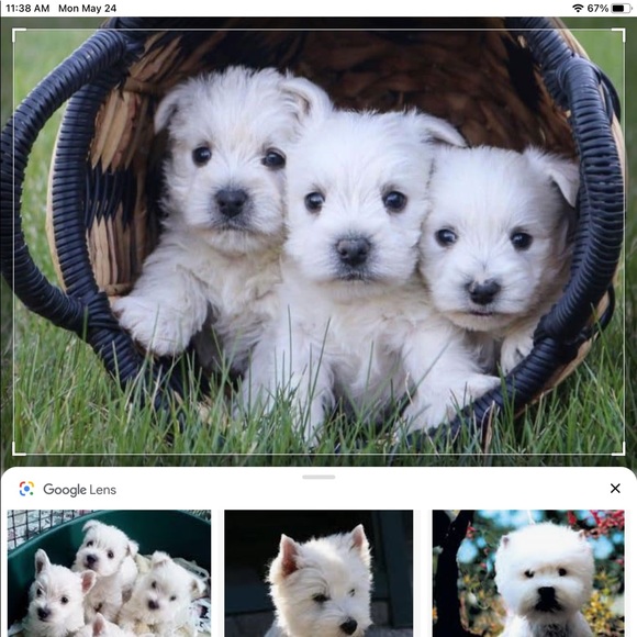 Create a Bundle! 🎀 15% off two or more items!🎉🦄 - Picture 8 of 11